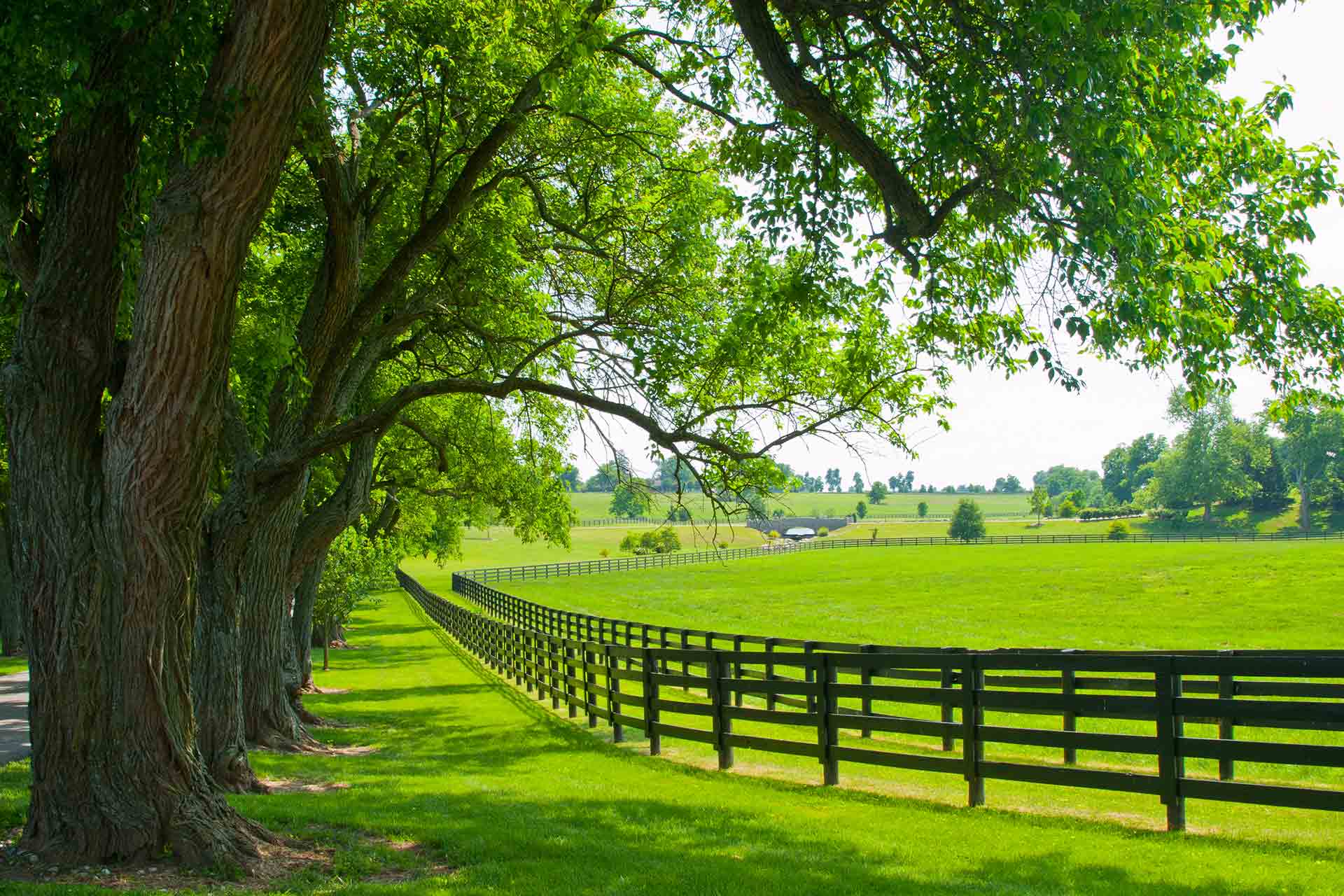 Farm in Ocala Ocala Horse Farms for Sale Real Estate Acreage Land